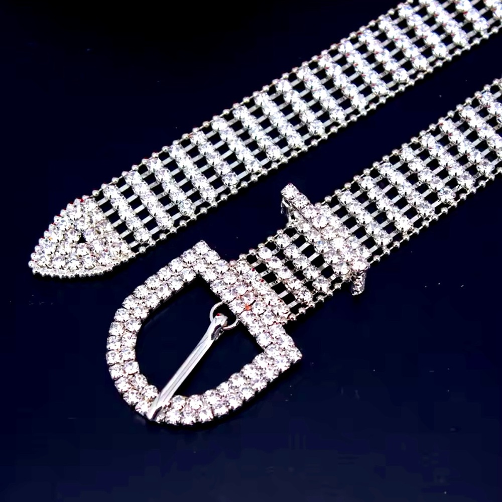Glam Bling Rhinestone Waist Belt - Picture 3 of 3